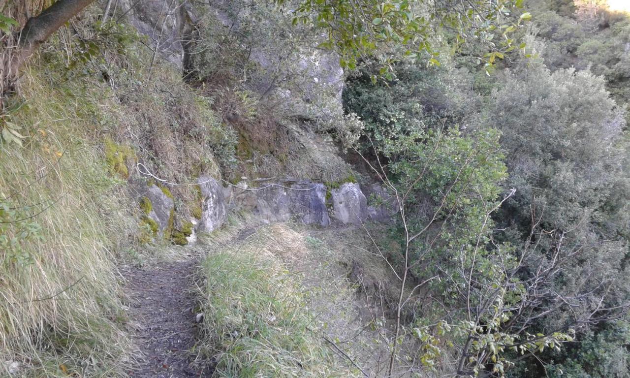 Logis Hotel Beausejour Berre-les-Alpes Luaran gambar
