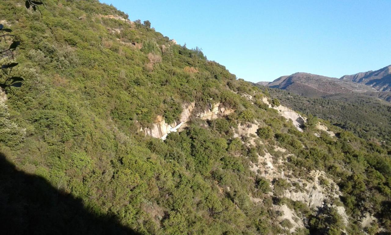 Logis Hotel Beausejour Berre-les-Alpes Luaran gambar